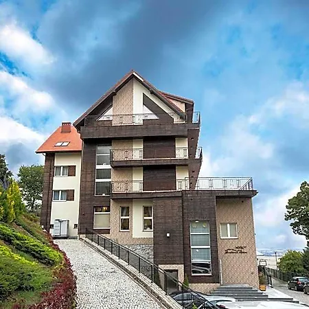 Otel Hotel Srebrna Gora